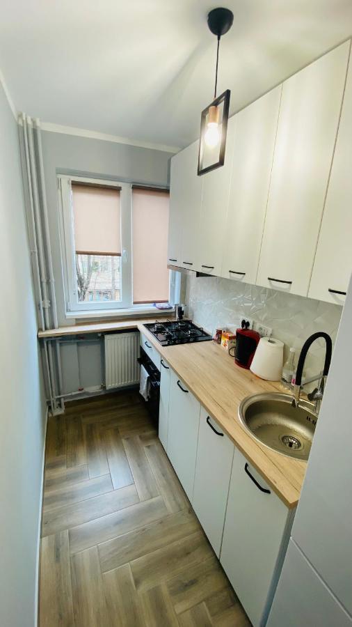 Dacia Apartment Timisoara Ngoại thất bức ảnh