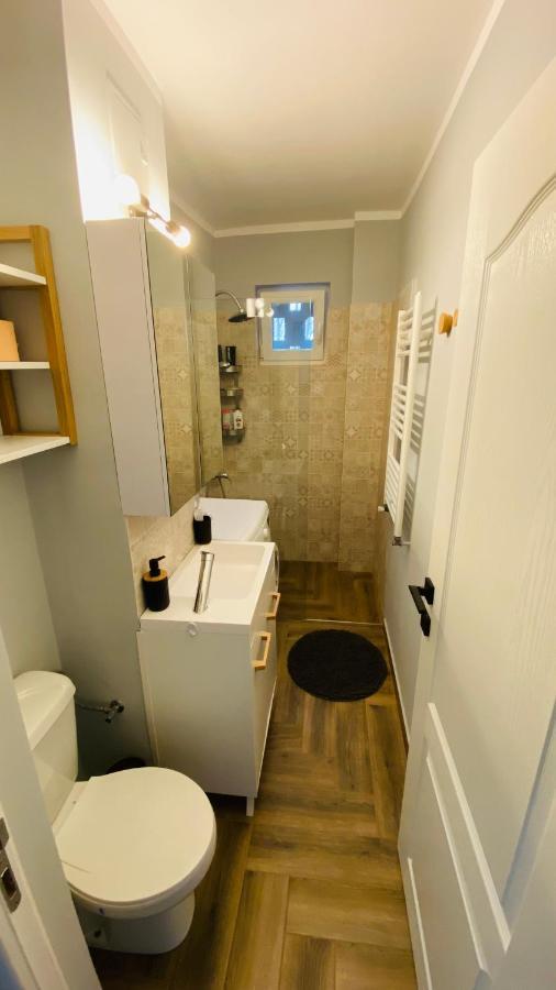 Dacia Apartment Timisoara Ngoại thất bức ảnh
