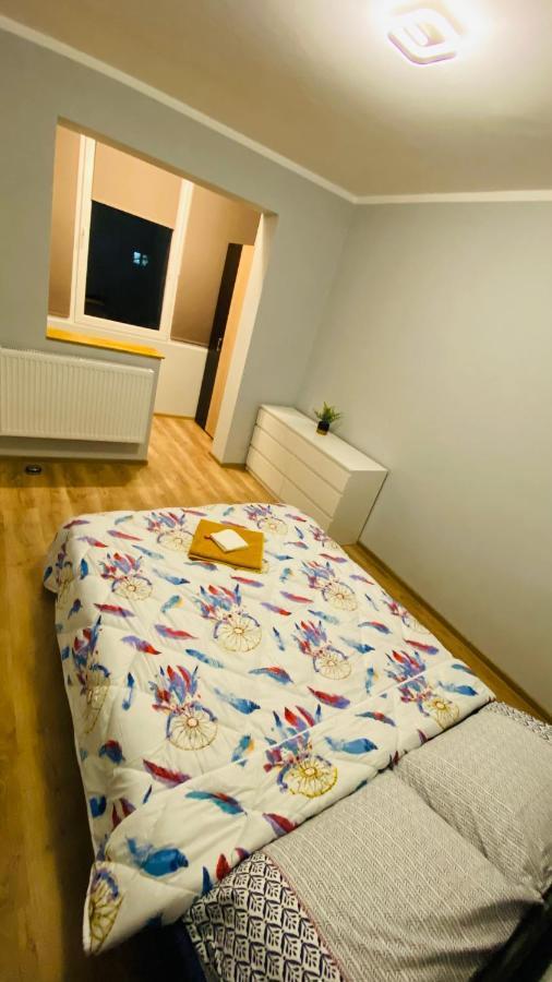 Dacia Apartment Timisoara Ngoại thất bức ảnh